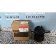 Насос 4891252 водяной Cummins ISBe, ISDe (3800984, 3285410, 5473172, 5312296)